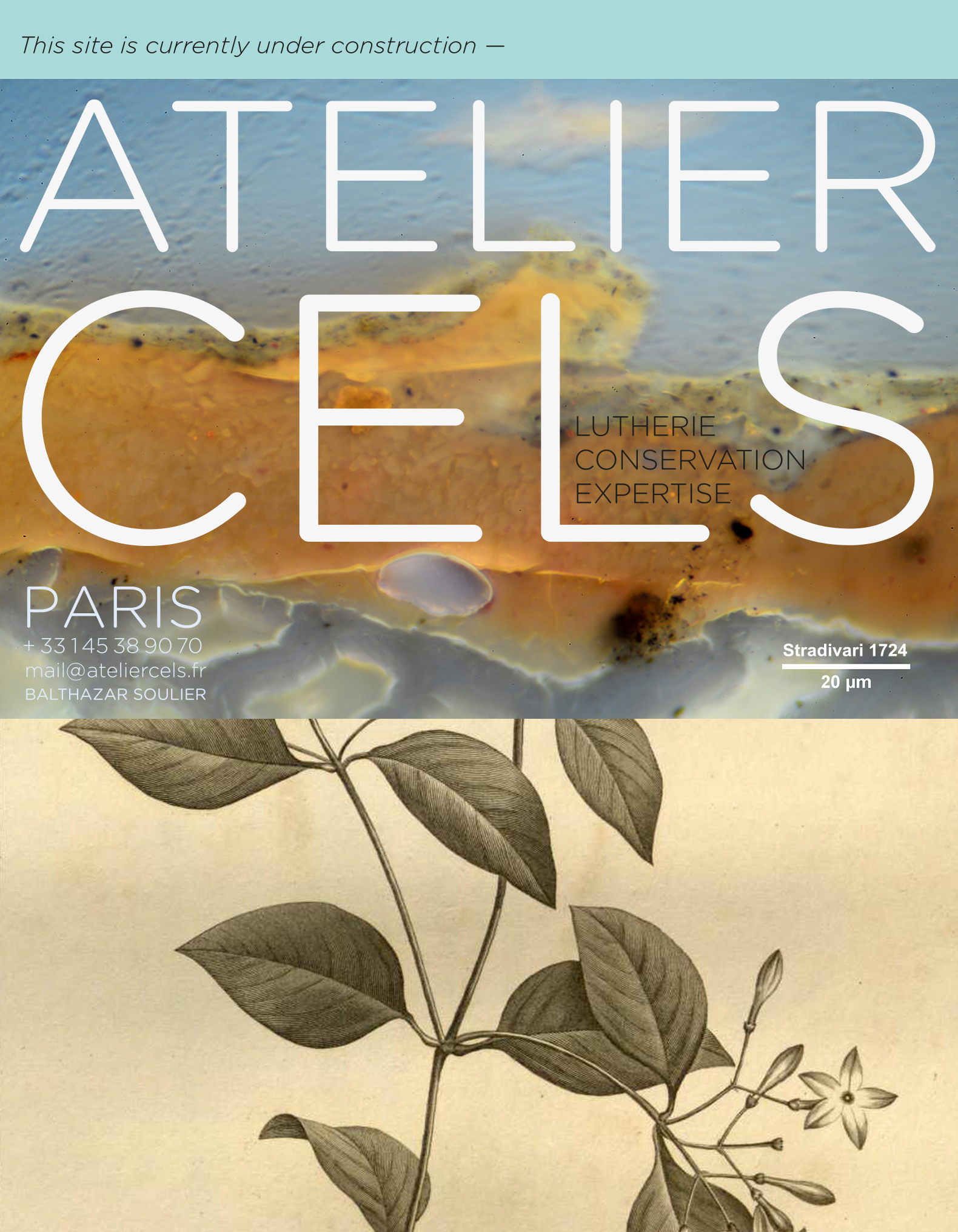 Atelier cels: luthier à Paris, violons, violoncelles, altos, conservation, expertise